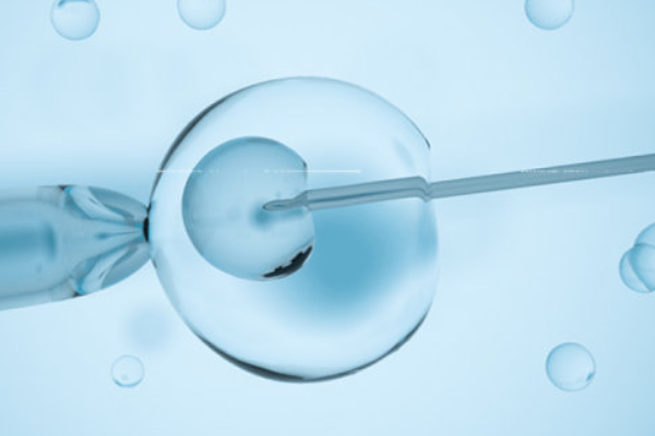 供卵试管婴儿