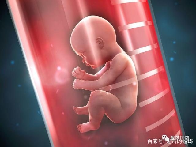 供卵代孕双胞胎